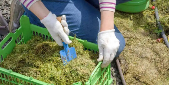 Landscaping Insurance Georgia