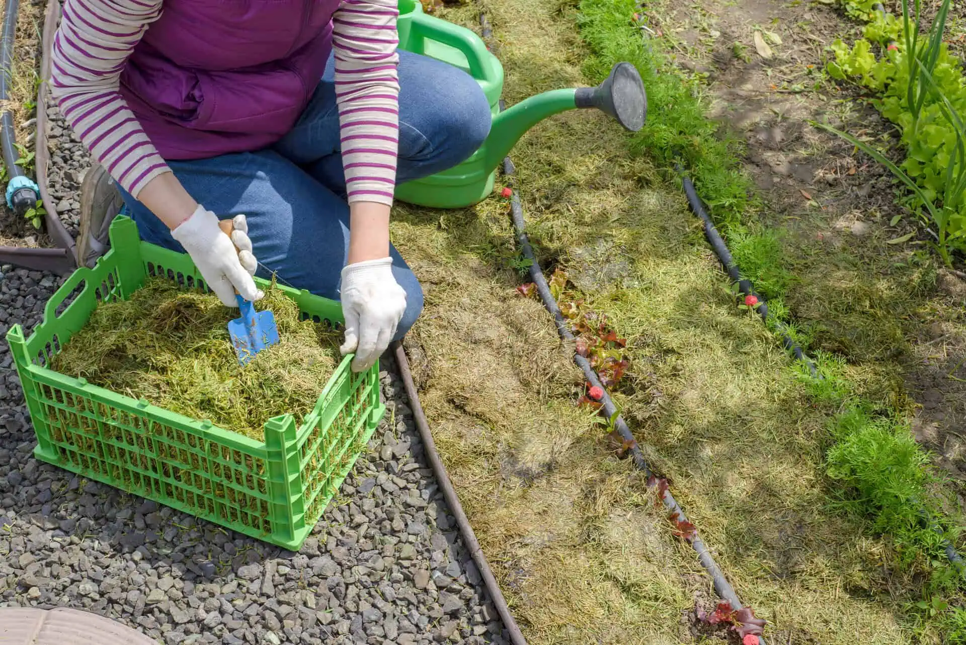 Landscaping Insurance Georgia